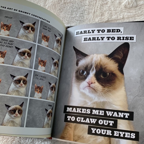 Grumpy cat Hardcover โ a grumpy book โ tips & activity book - Picture 3 of 5